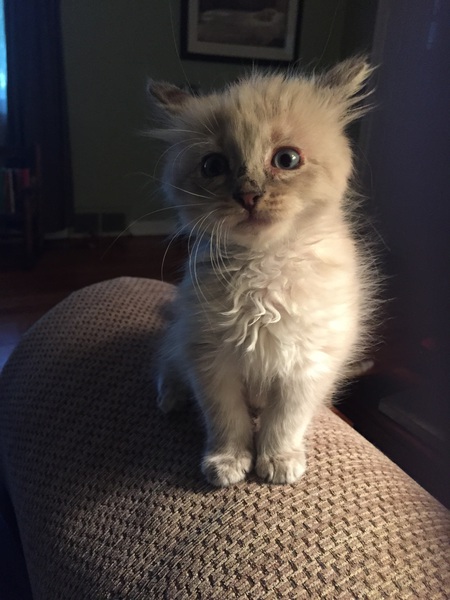Zoe