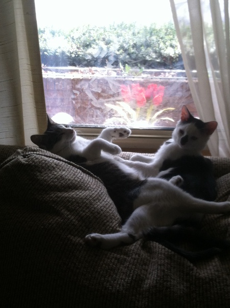Max & Jax