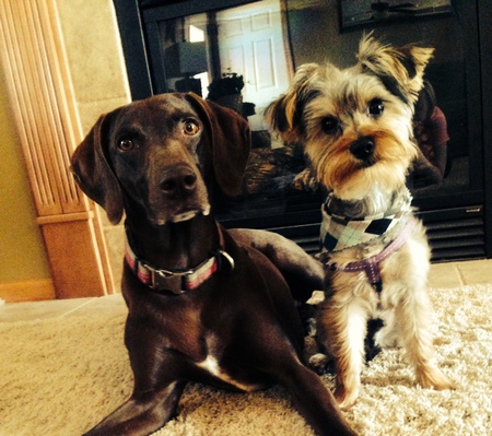 Pip and CJ