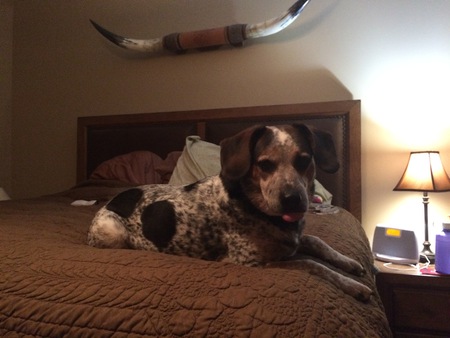 Cooper