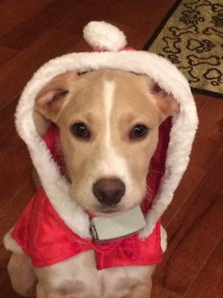Emmitt