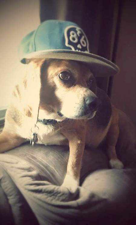 Norman