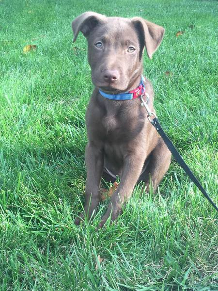 Milo
