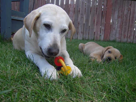 Pocah and Cooper