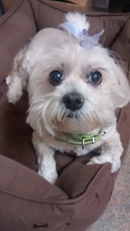 Emmie