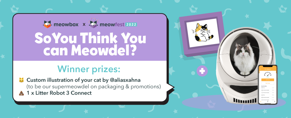 Banner for So You Think You Can Meowdel?