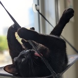 Entry image for Adrien 