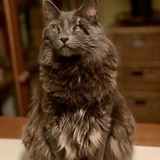 Entry image for Byron