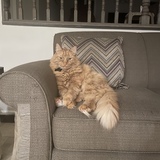 Entry image for Rubio