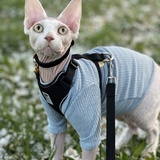 Entry image for Chicken