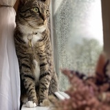 Entry image for Pond 