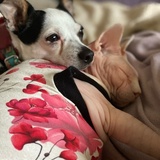 Entry image for Mable