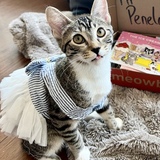 Entry image for Penelope