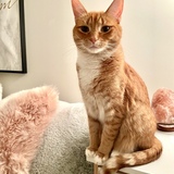 Entry image for Nasa