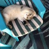 Entry image for Theodore