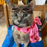 Entry image for Mimu