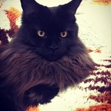 Entry image for Skye