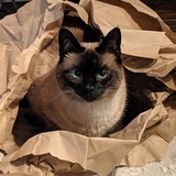 Entry image for Beatrice