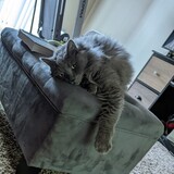 Entry image for Pancakes 