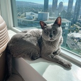 Entry image for Jack