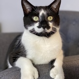 Entry image for Scott