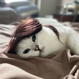 Entry image for Teddy