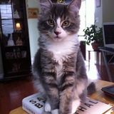 Entry image for Bob Barlow