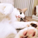 Entry image for Marni