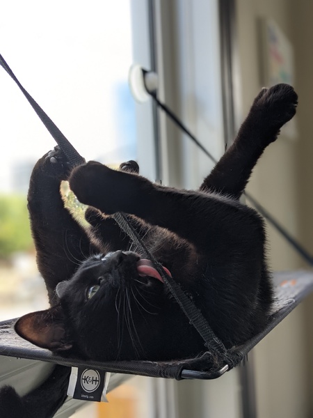 Entry image for Adrien . Clicking this image will show a larger photo