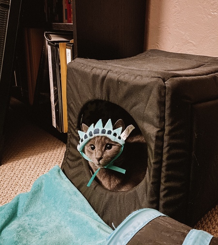 Entry image for Banana. Clicking this image will show a larger photo