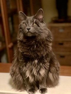 Entry image for Byron. Clicking this image will show a larger photo