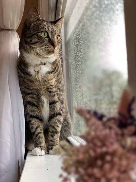 Entry image for Pond . Clicking this image will show a larger photo