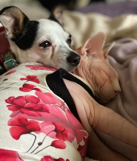 Entry image for Mable. Clicking this image will show a larger photo