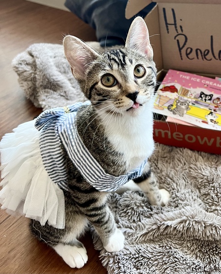 Entry image for Penelope. Clicking this image will show a larger photo