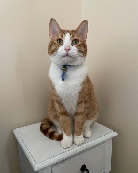 Entry image for Oliver. Clicking this image will show a larger photo