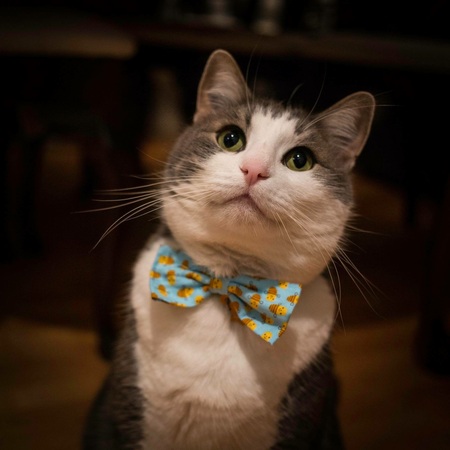 Entry image for Gary. Clicking this image will show a larger photo