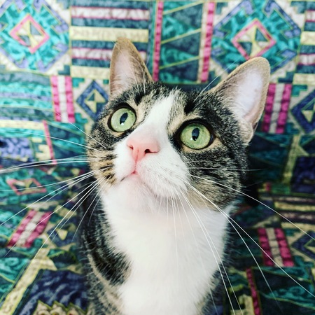 Entry image for Raine. Clicking this image will show a larger photo