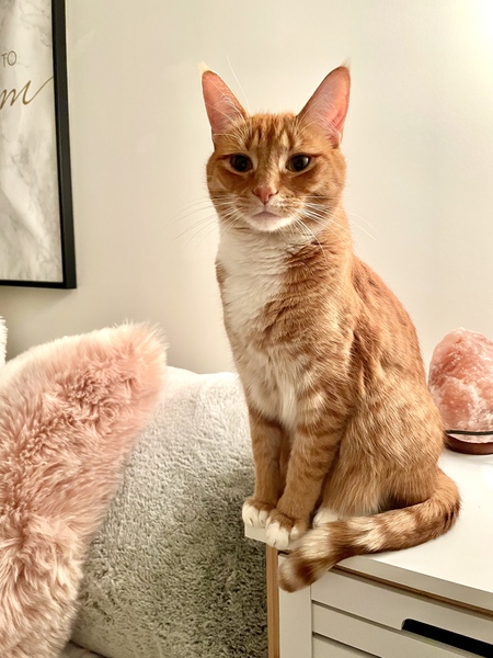 Entry image for Nasa. Clicking this image will show a larger photo