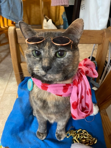 Entry image for Mimu. Clicking this image will show a larger photo