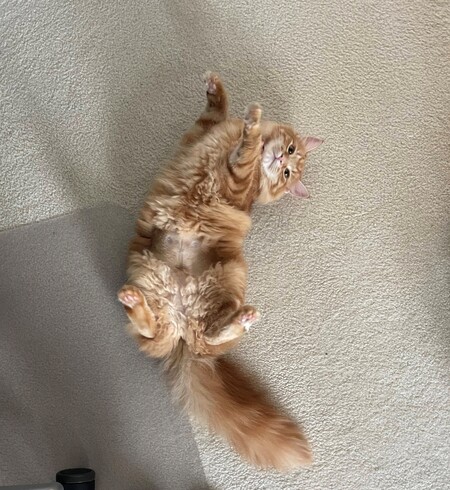 Entry image for Yuubee. Clicking this image will show a larger photo