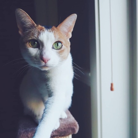 Entry image for Toast. Clicking this image will show a larger photo