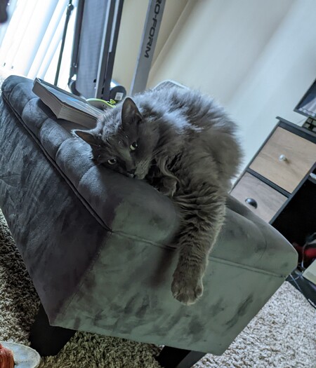 Entry image for Pancakes . Clicking this image will show a larger photo