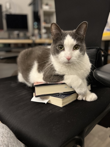 Entry image for Molson. Clicking this image will show a larger photo