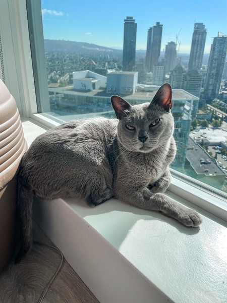 Entry image for Jack. Clicking this image will show a larger photo