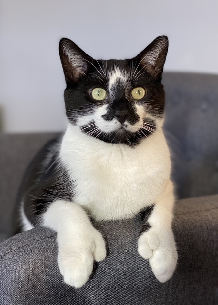 Entry image for Scott. Clicking this image will show a larger photo