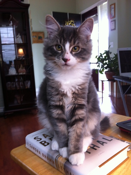 Entry image for Bob Barlow. Clicking this image will show a larger photo