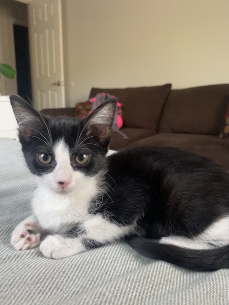 Entry image for Rory. Clicking this image will show a larger photo