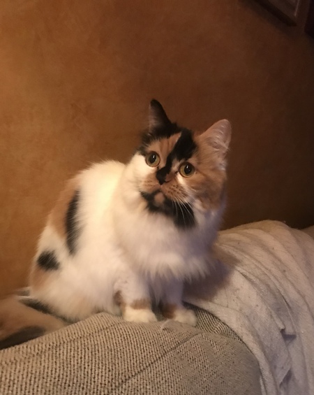 Entry image for Sue. Clicking this image will show a larger photo