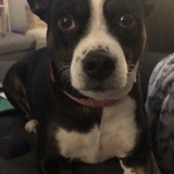 Entry image for Lola
