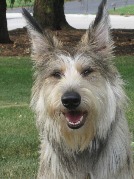 Entry image for Dorothy. Clicking this image will show a larger photo